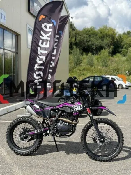 Мотоцикл кроссовый / эндуро GTO SHORT Pro Max 300 | Мототека