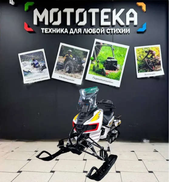 Снегоход MotoLand (Мотолэнд) BARS 200 (машинокомплект) | Мототека