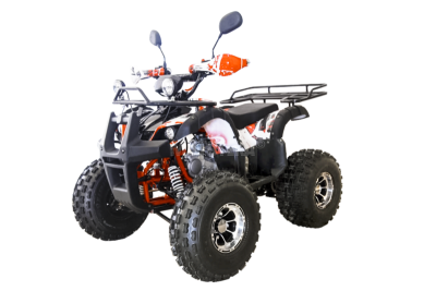 Квадроцикл детский WELS (Велс) ATV Thunder 125 LUX (машинокомплект)
